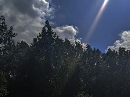 Heart Connection Meditation