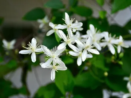 Relax Your Nervous System