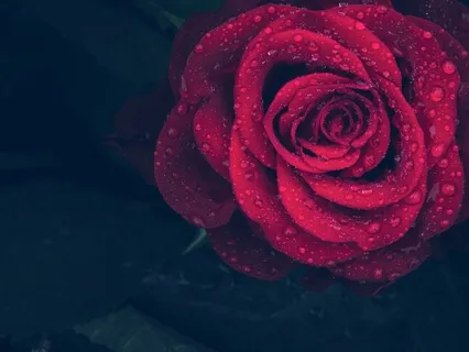 Heart Energy Meditation 