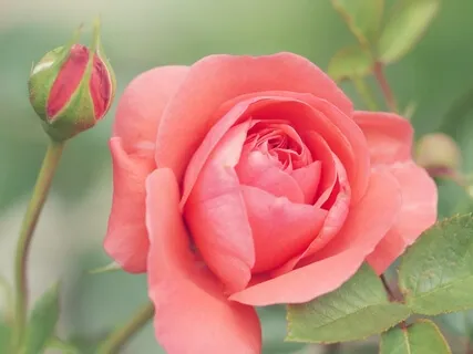 Heart Expanding Breath Meditation