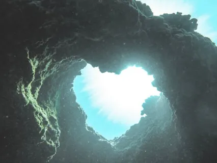 Heart Expansion & Intention Meditation