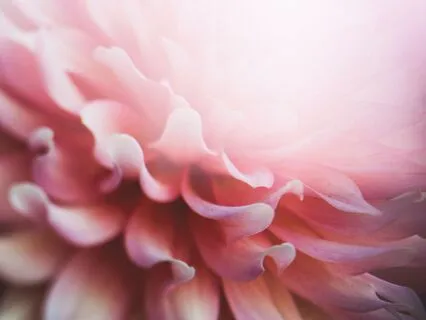 Heart Expansion – The Art Of Receiving Love