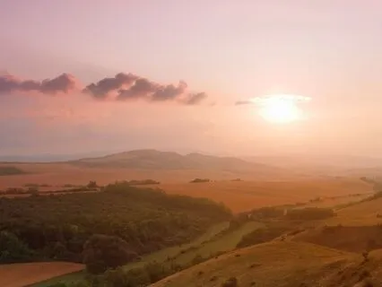 Heart-Focused Breathing: Calm Your Mind & Find Clarity