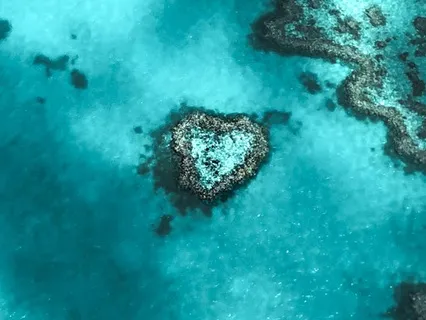 Heart-Focused Breathing