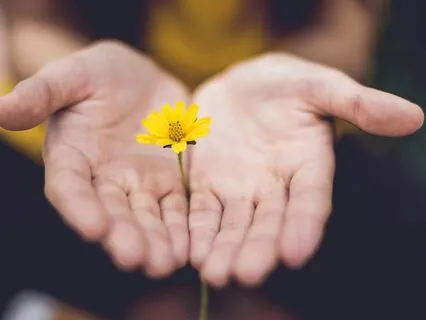 Heart Focused Meditation For Gratitude And Appreciation