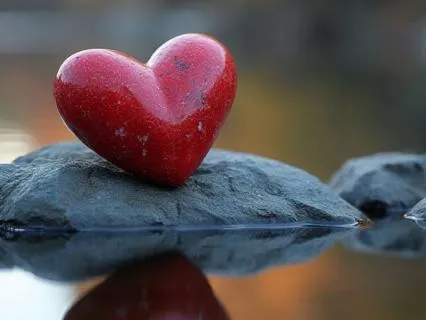Heart Focused Meditation