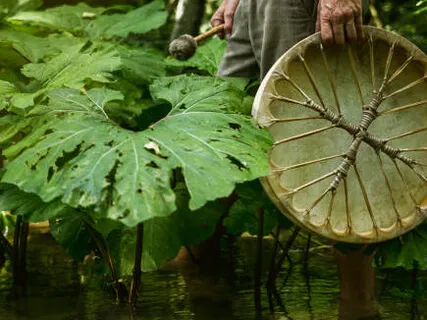 Heart Forest Healing Music