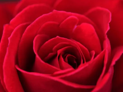 Heart Full Of Love  - 10min Daily Insight