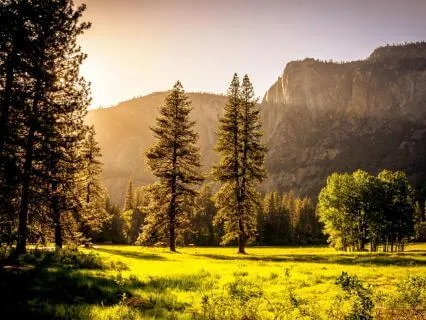 Heart Full Of Love And Strength : Morning Subliminal