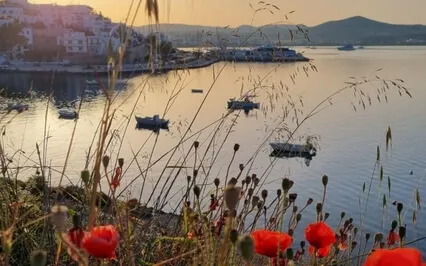 Heart Grounding Energy - From Pain To Love