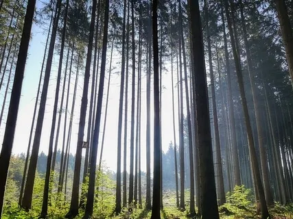 Heart-Healing Ceremony - From Pain To Peace Shamanic Drum Session