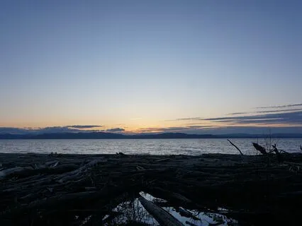 Heart Healing Guided Meditation To Connect With Love