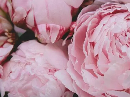 Heart Healing Journey: Shamanic Drumming