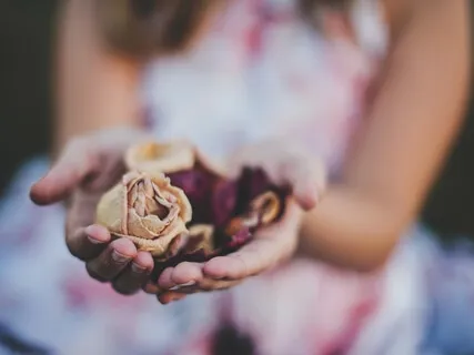 Heart Healing Mantra