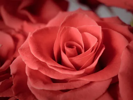 Heart Healing Meditation