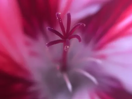 Heart Healing Meditation - Give Love To Your Broken Heart