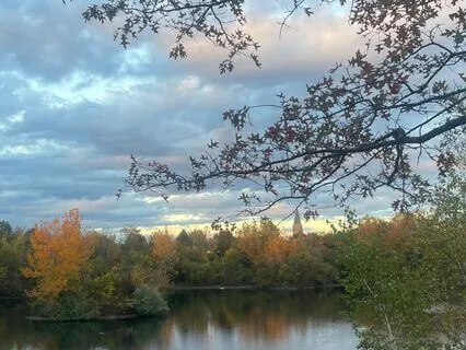 Heart Healing — The Heron’s Song And Shamanic Drum (30 Min)