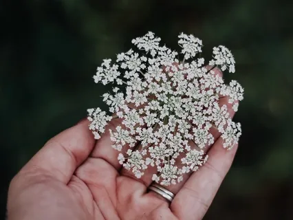 Tune Into The Wisdom Of Your Heart