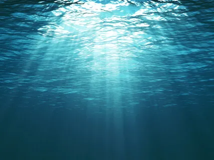 Heart Light Instrumentals: Mudita