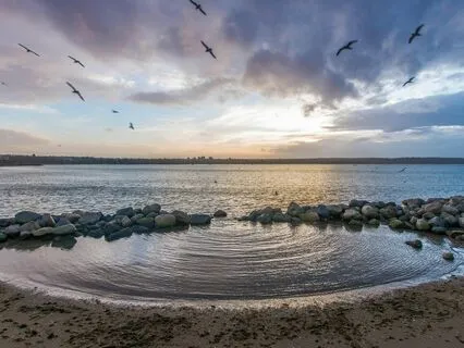 Heart Light: Love With Caroline Palmy, Heart Flow Healer