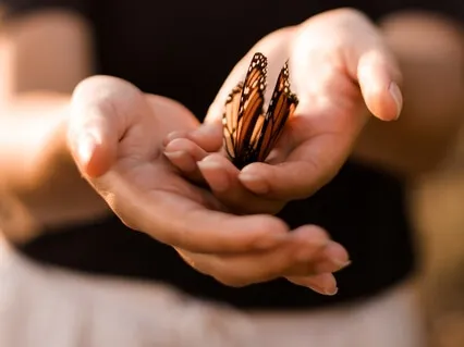 Rest In The Heart Centre & Allow Grace In