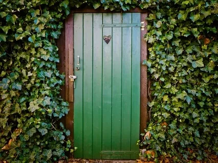 Heart Meditation & Activation