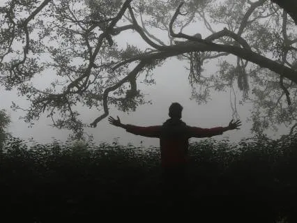 Heart Meditation For Emotional Resilience & HRV