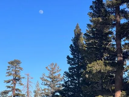 Heart Meditation For Grounding & Connection (LIVE)