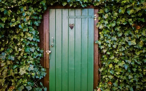 Heart Meditation: The Elevator Technique