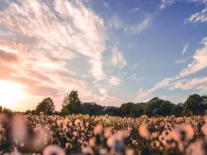 Heart Mind Coherence - Guided Meditation 