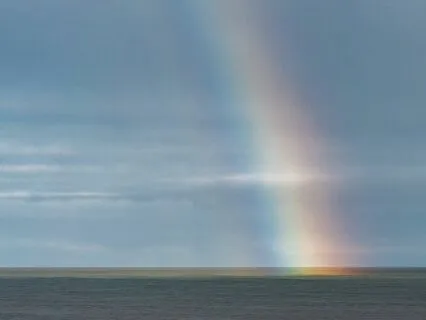 Heart Of Connection Metta Practice