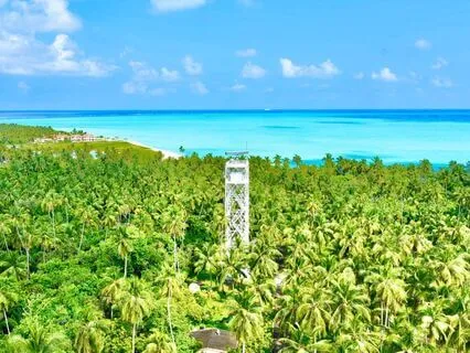 Heart Of Gratitude: Attract Positivity And Peace