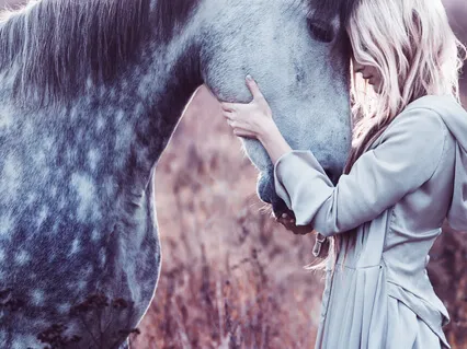 Heart Of The Country: Equine Connections