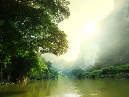 Heart Of The Jungle (Extended)