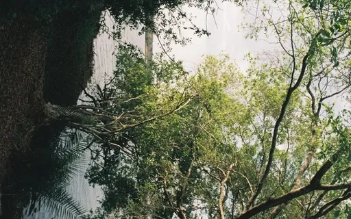 Heart Opening And Activation Meditation