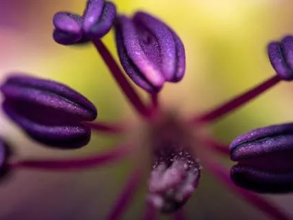 Heart Opening Breath