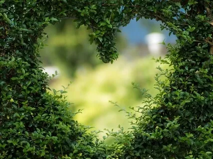 Heart Opening Chakra Meditation