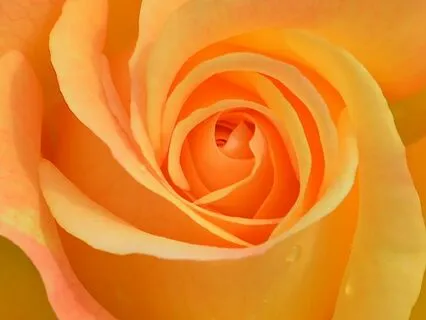 Heart Soothing Guided Meditation