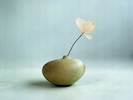 Heart Opening: Lovingkindness 