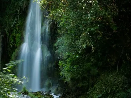 Heart Opening Meditation (10 Minutes)