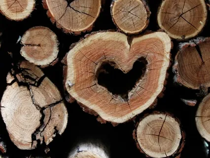 Heart Opening Meditation 