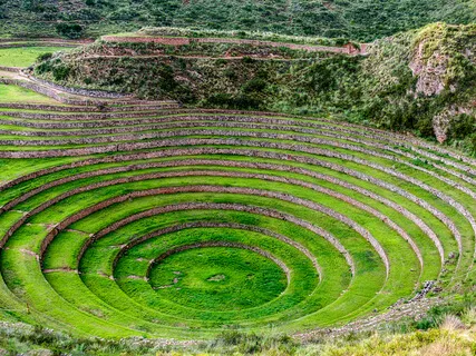 Heart Opening Practice 