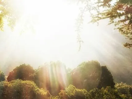 Heart Opening Meditation For Forgiveness & Inner Peace