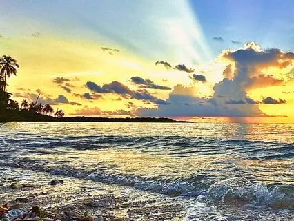 Heart Opening Meditation Live By The Ocean With Birds