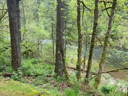 Heart Opening Music Meditation with Flute, Sitar & Cello