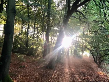 Heart Opening Music With Harp And Strings