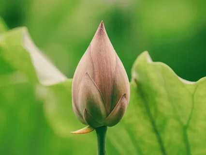 Heart Opening Practice