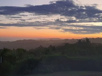 Heart Reiki Binaural Track