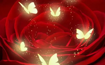 Heart Rose Meditation