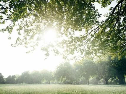 Heart Sanctuary String Orchestra